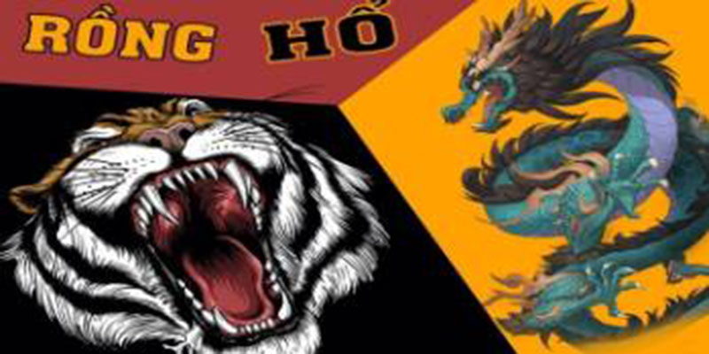 Kinh nghiệm cho người mới chơi Rồng Hổ FM88