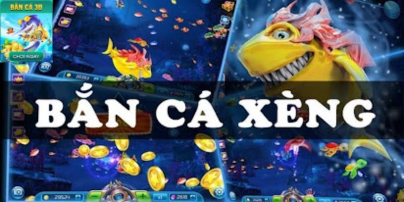Chiến lược săn bắn cá đỉnh cao